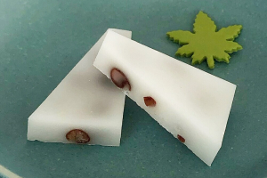 鶴屋吉信の御所氷室