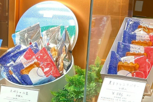 サブリナの京王百貨店