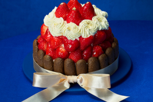 アンリ・シャルパンティエ,シャルロット・ノエル