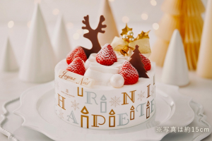 アンリ・シャルパンティエ,クリスマスケーキ,2025の画像