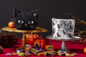 モロゾフのハロウィン,黒猫のポーチ