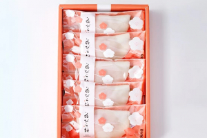 彩雲堂の花びら餅