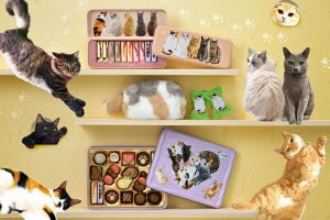 メリーチョコレートのバレンタイン