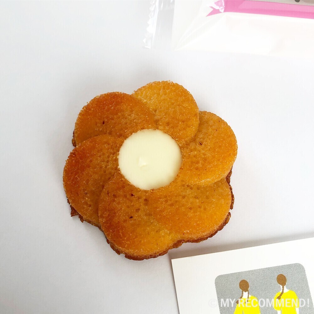 タルティンのダリア