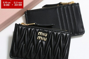 ミュウミュウのフラグメントケース