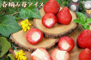 春摘み苺アイス