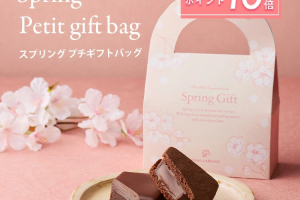 バニラビーンズのスプリングプチギフトバッグ