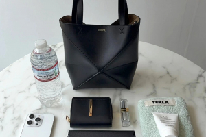 ロエベのパズル フォルド トート ミニ