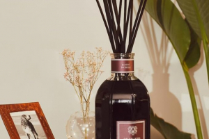 新生活,プレゼント,女性の画像