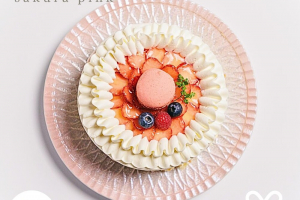 美濃焼 DariaL 桜ピンク