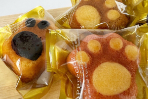 谷中堂のスイーツギフト